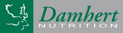 damhert-original-logo